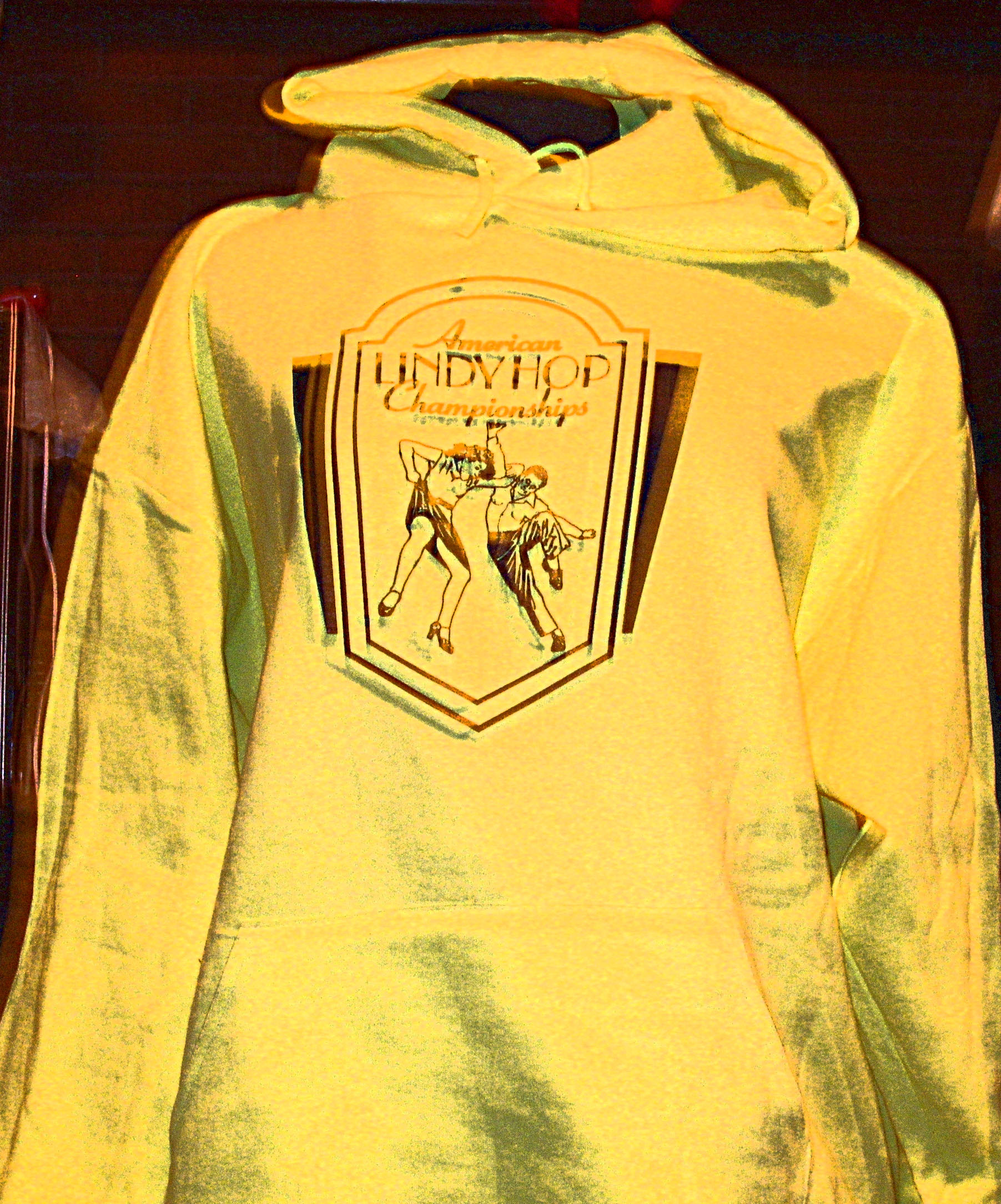 ALHC Hoodie with logo on chest